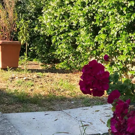 Country Flat Maria Apartment
